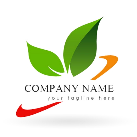 Gói thiết kế Logo cơ bản